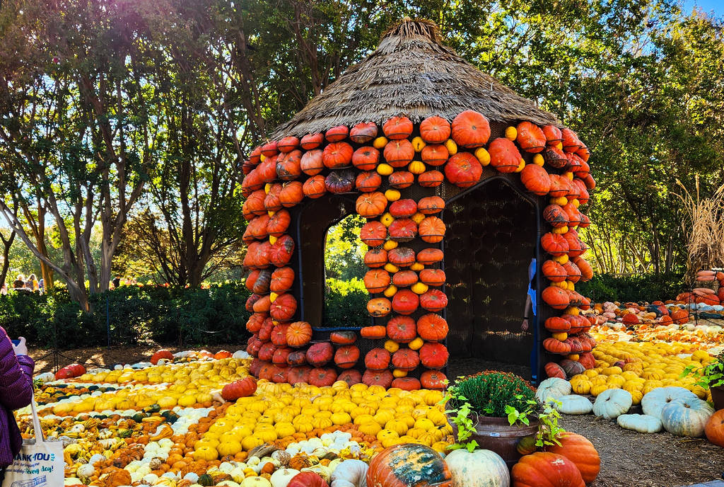 Dallas kids activities, Dallas Arboretum