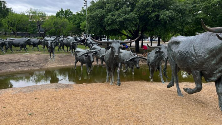 Pioneer Plaza: The Cattle Drive