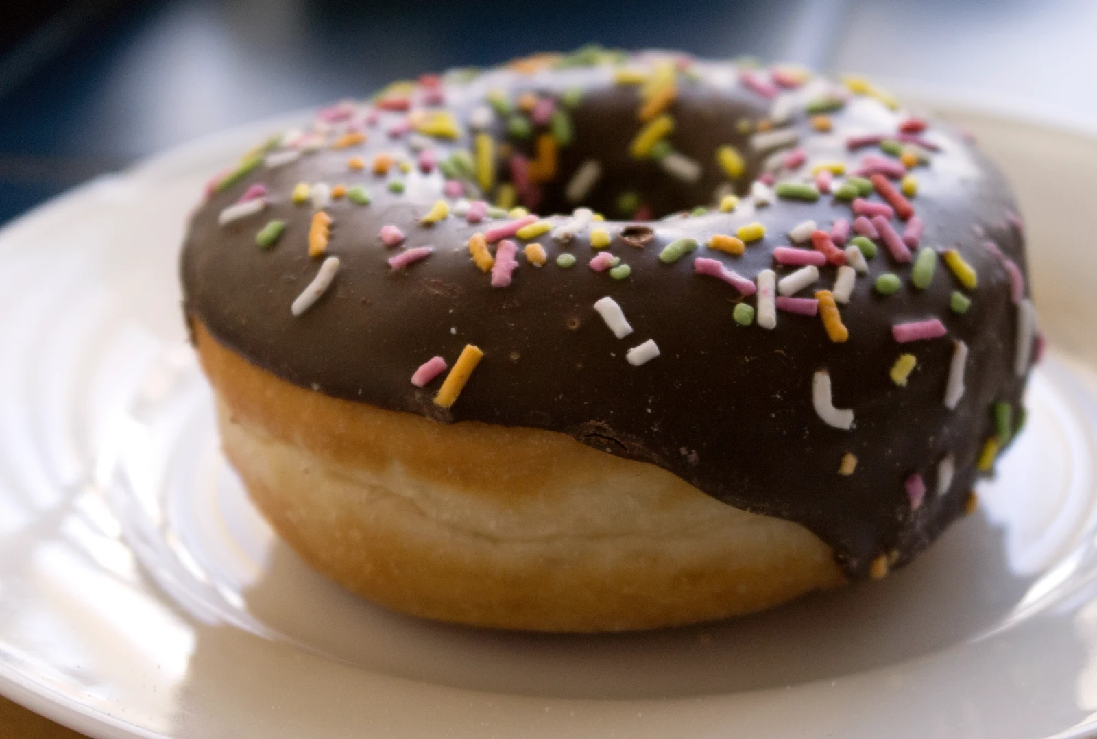 Chocolate sprinkle donut Chocolate glazed donut with sprinkles from a Dallas donut shop