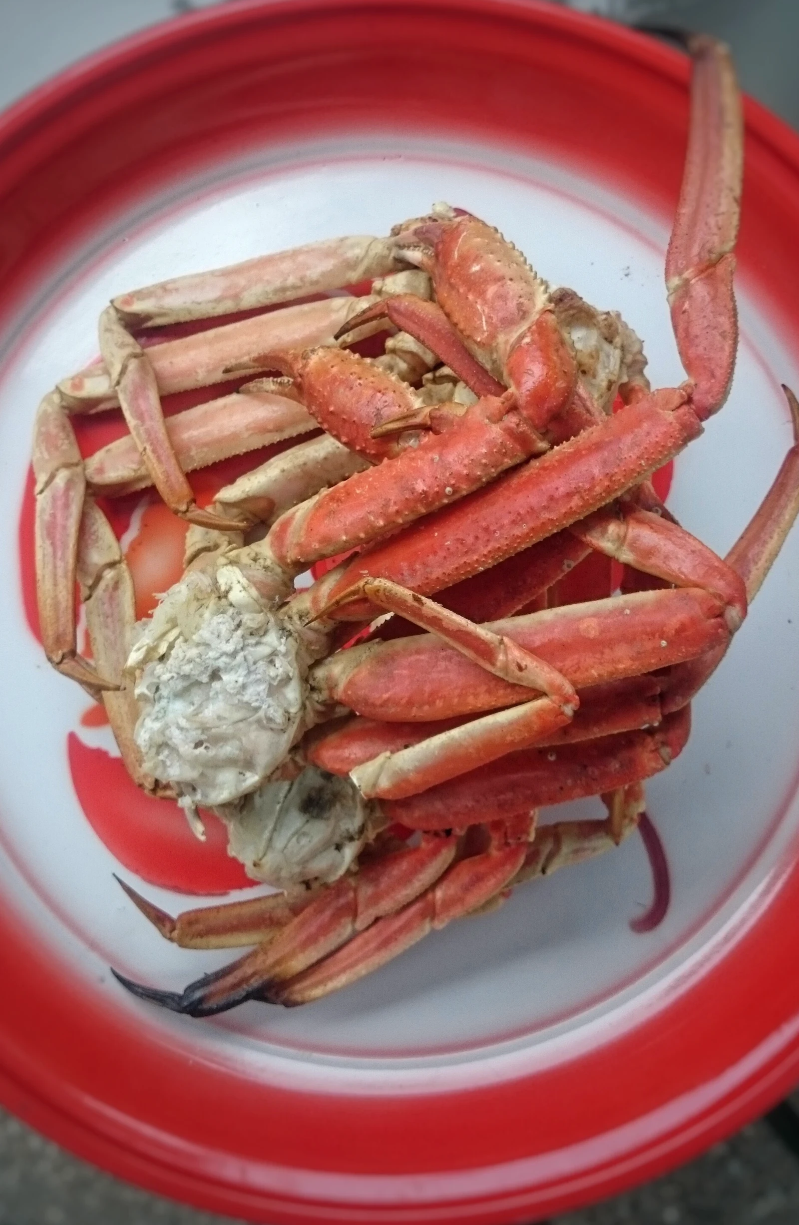 Crab platter for the table Crab legs platter at a Dallas seafood restaurant