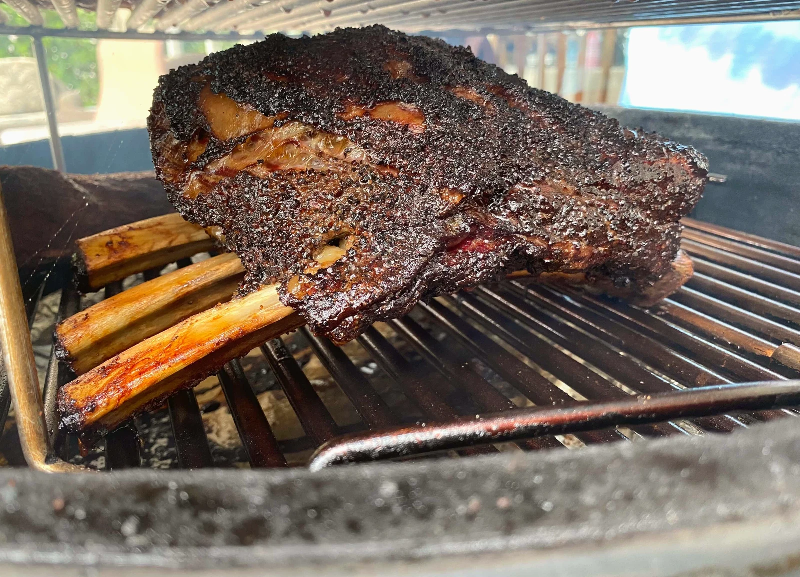 Beef ribs on a smoker grill, a staple of the best Texas BBQ joints